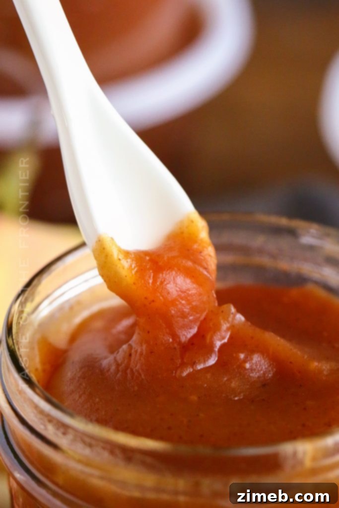 40 Autumn Apple Creations: Sweet Treats, Savory Sauces, and Hearty Breakfasts 16 Instant Pot Apple Butter