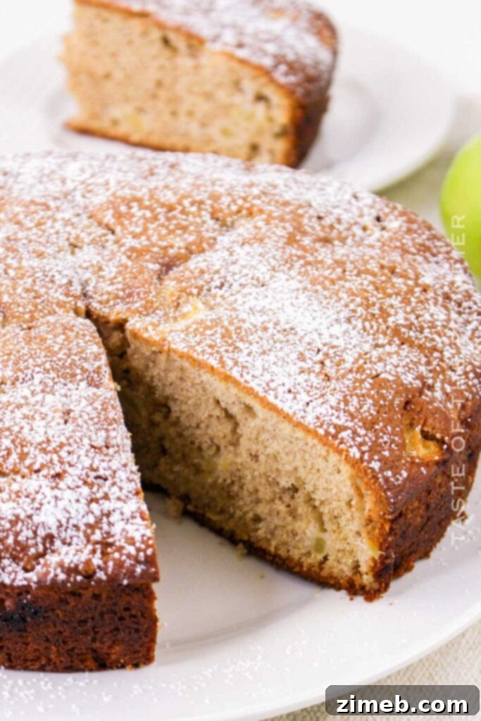 40 Autumn Apple Creations: Sweet Treats, Savory Sauces, and Hearty Breakfasts 23 Apple and Cinnamon Cake recipe