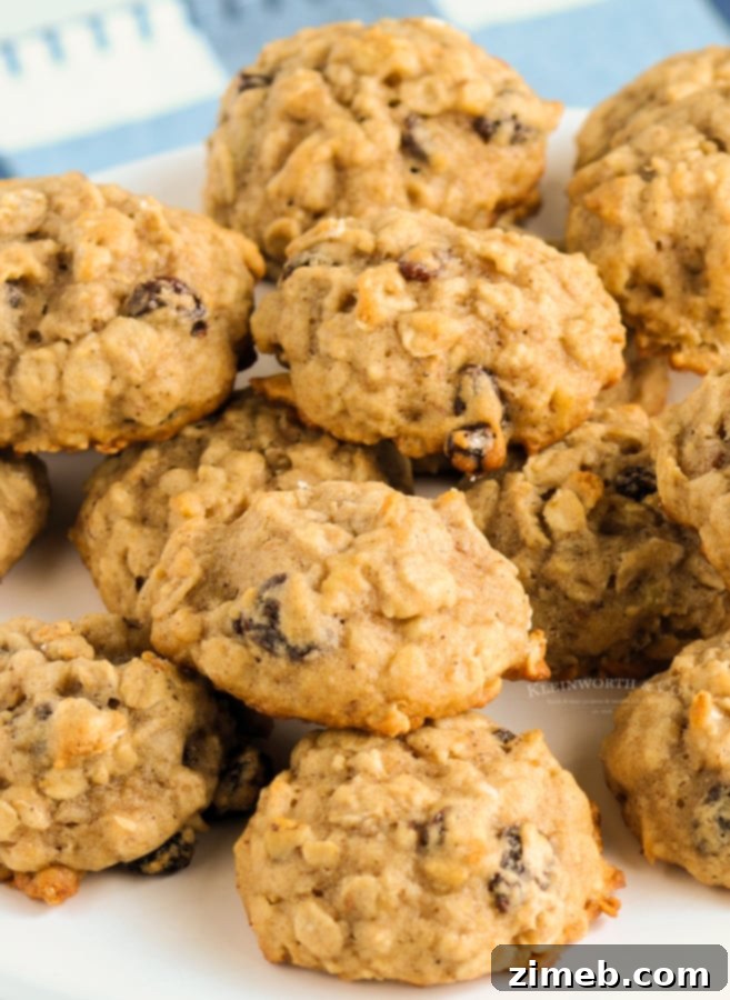 40 Autumn Apple Creations: Sweet Treats, Savory Sauces, and Hearty Breakfasts 25 oatmeal cookies with nuts