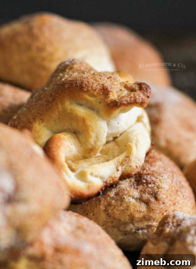 40 Autumn Apple Creations: Sweet Treats, Savory Sauces, and Hearty Breakfasts 33 fall recipe - Apple Pie Pockets