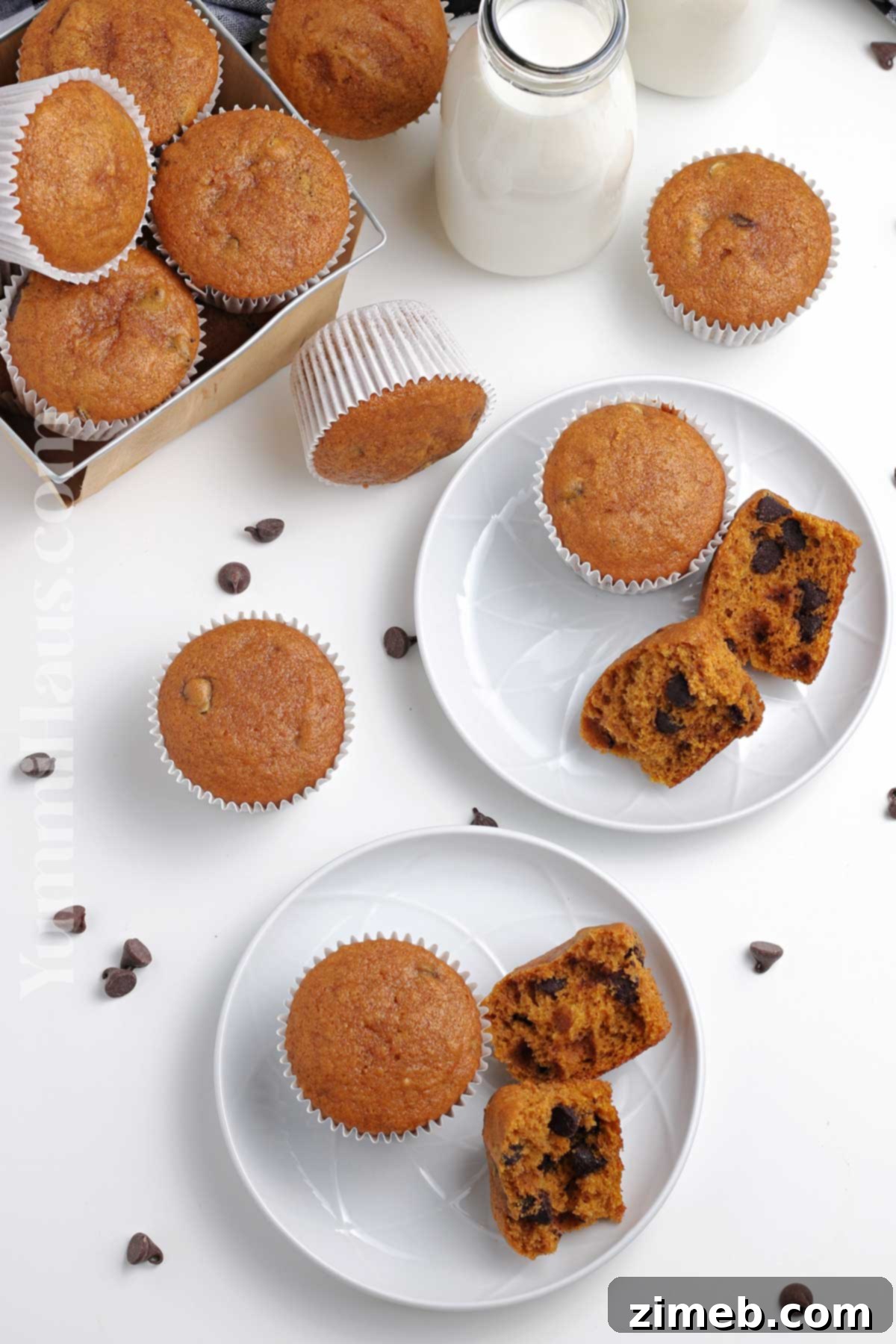 Harvest Spice Pumpkin Chocolate Chip Muffins 17 pumpkin breakfast