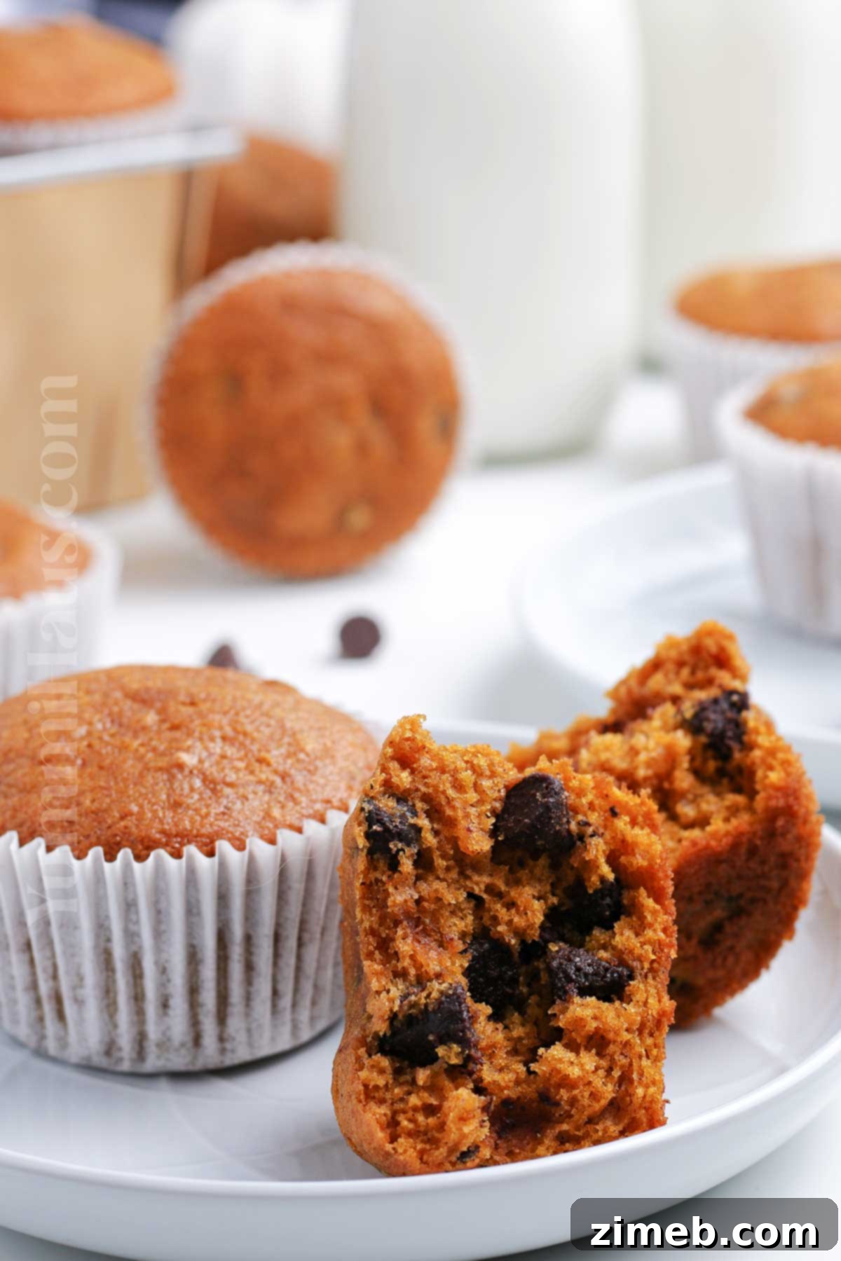 Harvest Spice Pumpkin Chocolate Chip Muffins 18 Pumpkin Muffins for breakfast