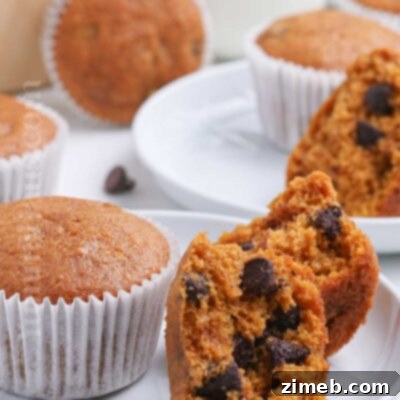 Harvest Spice Pumpkin Chocolate Chip Muffins 19 Pumpkin Chocolate Chip Muffins