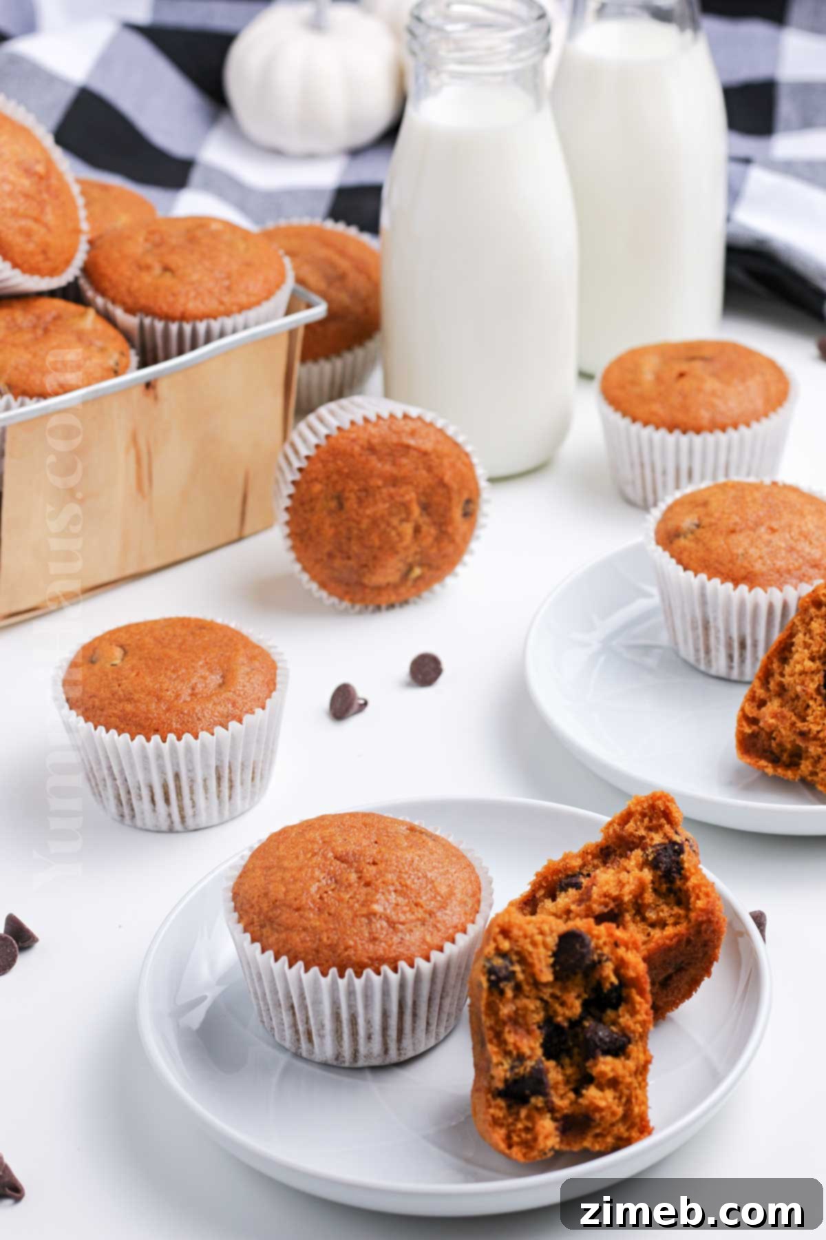 Harvest Spice Pumpkin Chocolate Chip Muffins 3 Pumpkin Chocolate Chip Muffin recipe
