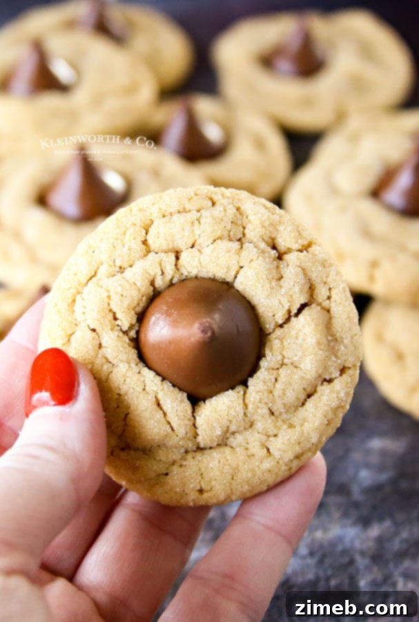 40 Irresistible Fall Cookie Recipes 15 Classic Peanut Butter Blossom Cookies