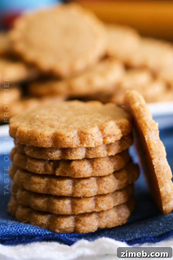 40 Irresistible Fall Cookie Recipes 20 Homemade Biscoff Cookies: Spiced Caramel Crunch