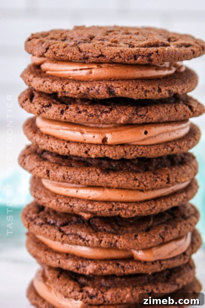 40 Irresistible Fall Cookie Recipes 28 Homemade Chocolate Sandwich Cookies