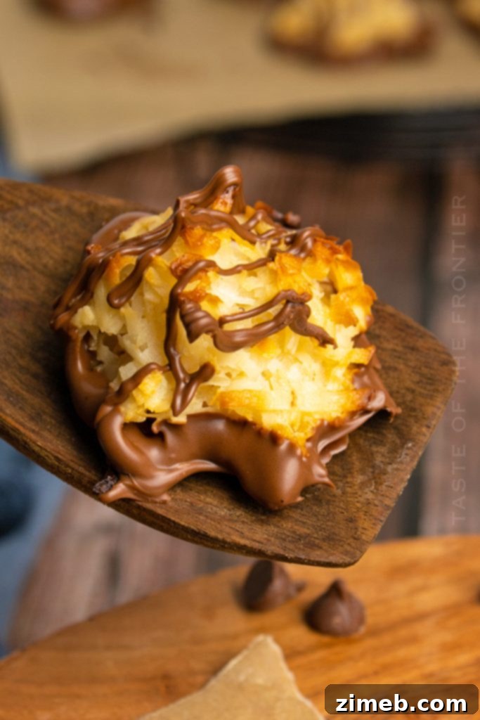 40 Irresistible Fall Cookie Recipes 31 Classic Chocolate Coconut Macaroons