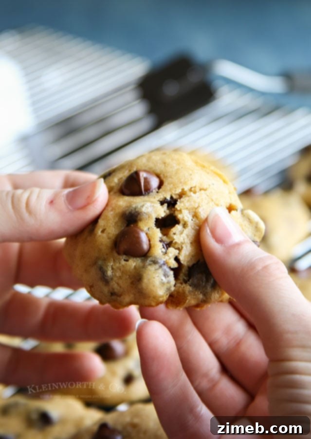 40 Irresistible Fall Cookie Recipes 33 Moist Chocolate Chip Applesauce Cookies