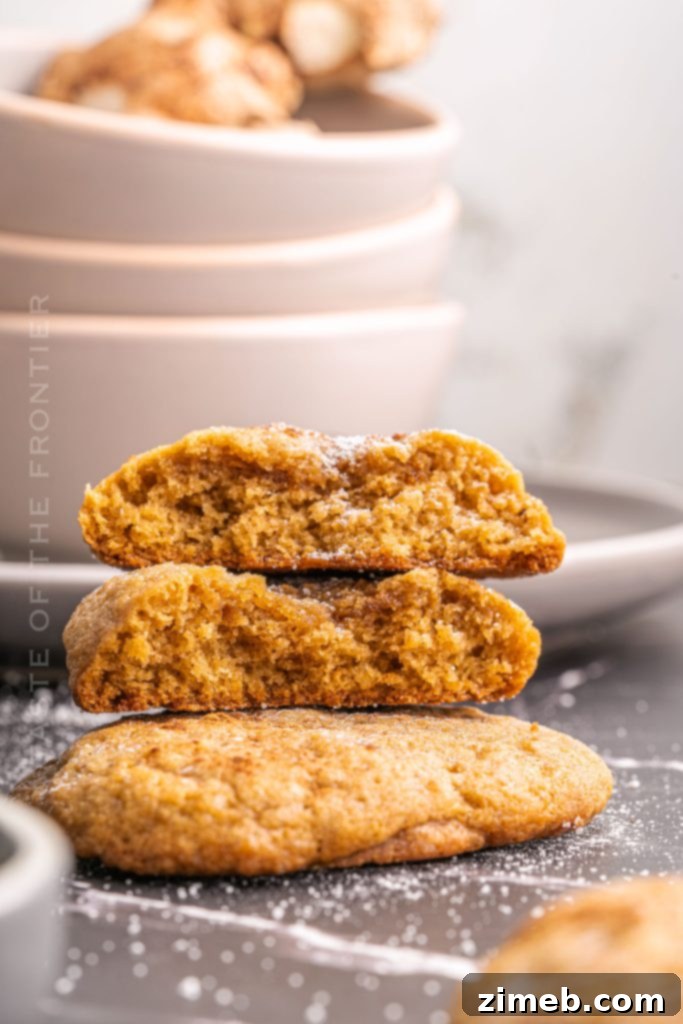 40 Irresistible Fall Cookie Recipes 36 Fragrant Chai Tea Cookies for Fall