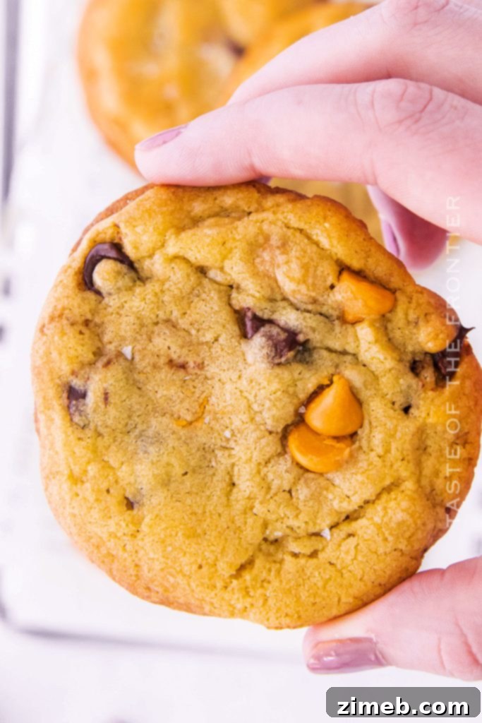 40 Irresistible Fall Cookie Recipes 37 Chewy Butterscotch Chocolate Chip Cookies