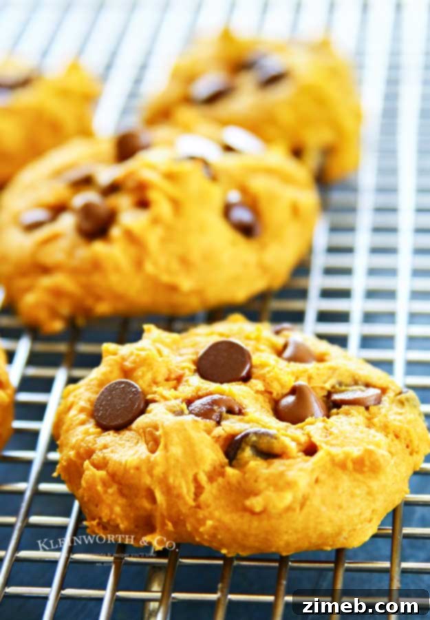 40 Irresistible Fall Cookie Recipes 41 Easy 3-Ingredient Pumpkin Cookies