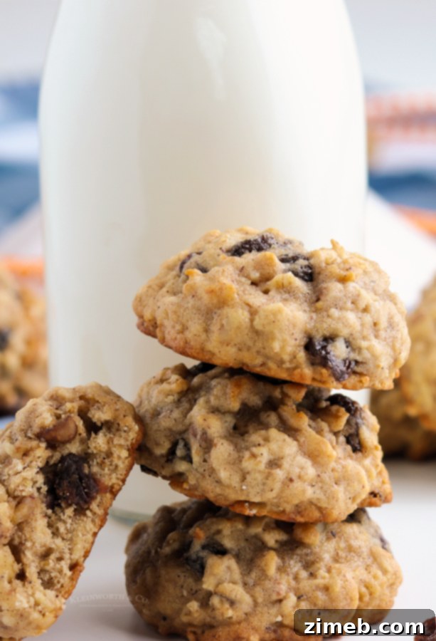 40 Irresistible Fall Cookie Recipes 6 The Best Applesauce Oatmeal Cookies for Fall