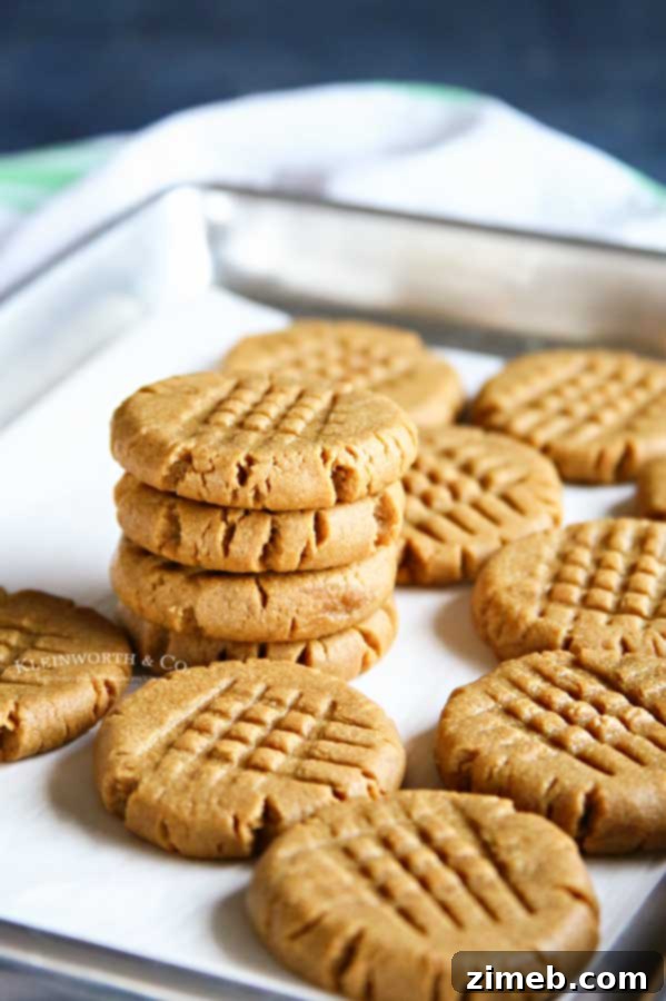 Fall Into Flavor: 15 Perfect Peanut Butter Cookies to Bake Now 6 Soft and chewy 3-Ingredient Peanut Butter Cookies, a quick and easy gluten-free recipe.