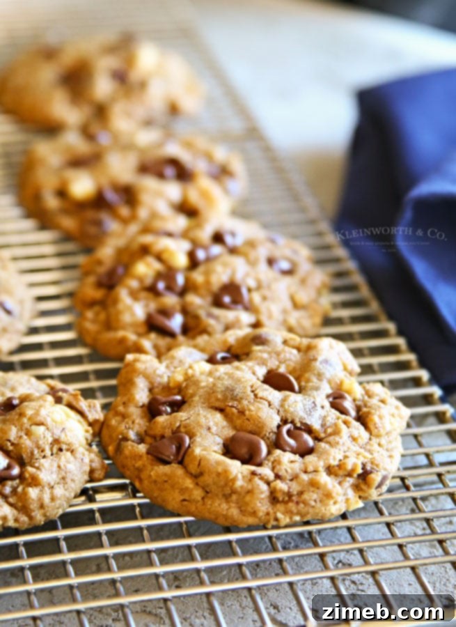 Fall's Signature Chocolate Chip Treat 11 Molasses oatmeal cookies with chocolate chips and nuts, a classic fall treat