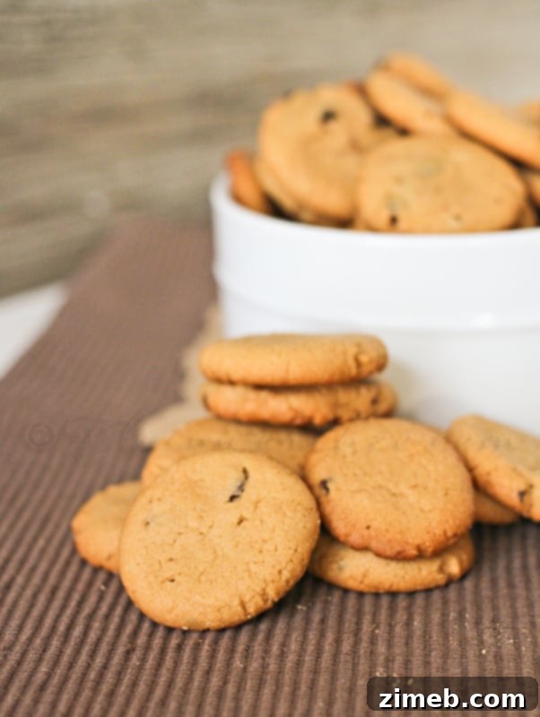 Fall's Signature Chocolate Chip Treat 12 Mini Peanut Butter Chocolate Chip Cookies from Kleinworth & Co.