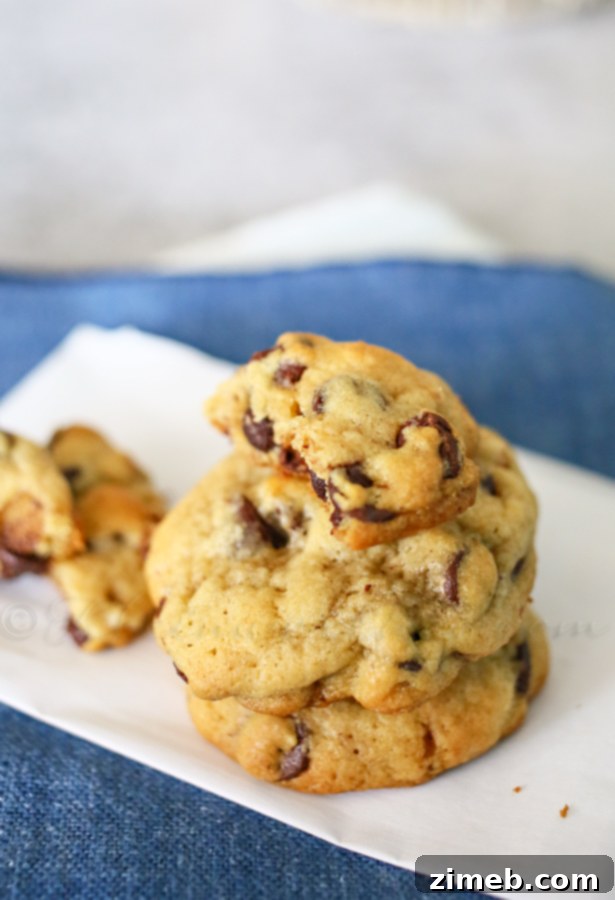 Fall's Signature Chocolate Chip Treat 14 Homemade Chocolate Chip Pecan Cookies, chewy and rich