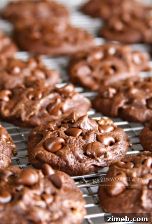 Fall's Signature Chocolate Chip Treat 18 Chocolate Cake Mix Cookies with Twix and chocolate chips