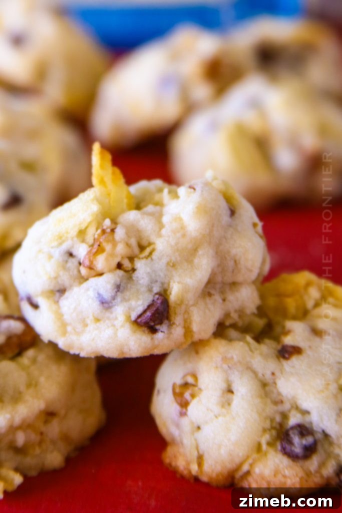 Fall's Signature Chocolate Chip Treat 19 Shortbread cookies with mini chocolate chips, walnuts, and salty potato chips
