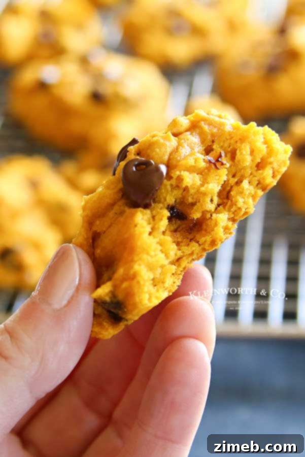 Fall's Signature Chocolate Chip Treat 3 Thick and chewy 3-Ingredient Pumpkin Chocolate Chip Cookies, perfect for fall baking