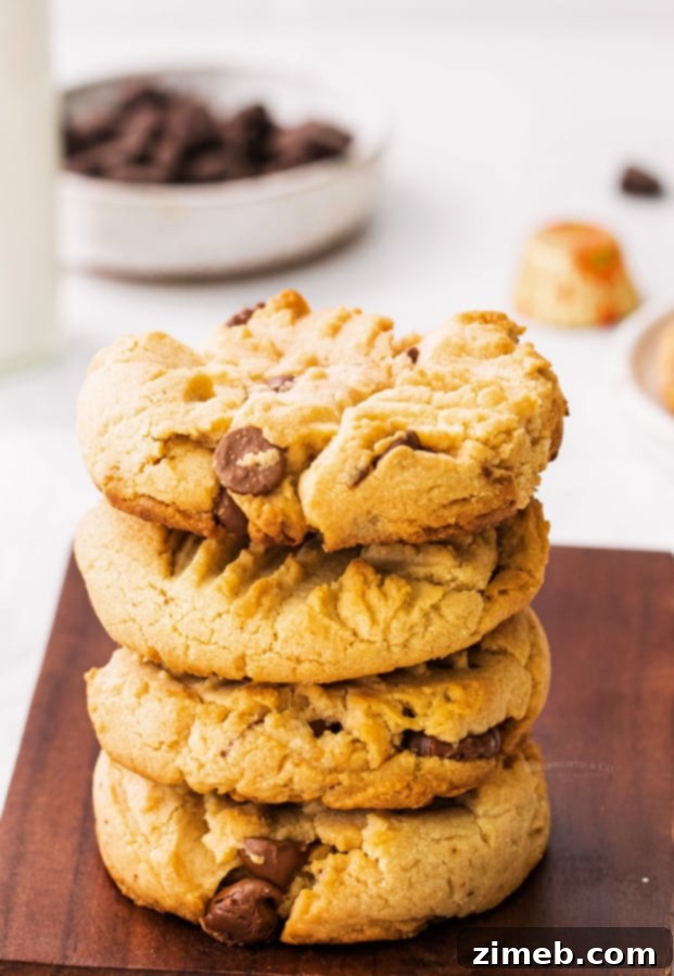 Fall's Signature Chocolate Chip Treat 6 Chewy peanut butter stuffed cookies with peanut butter cups and chocolate chips