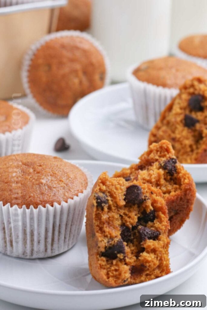 32 Irresistible Pumpkin Treats To Sweeten Your Fall 5 Fluffy Pumpkin Chocolate Chip Muffins