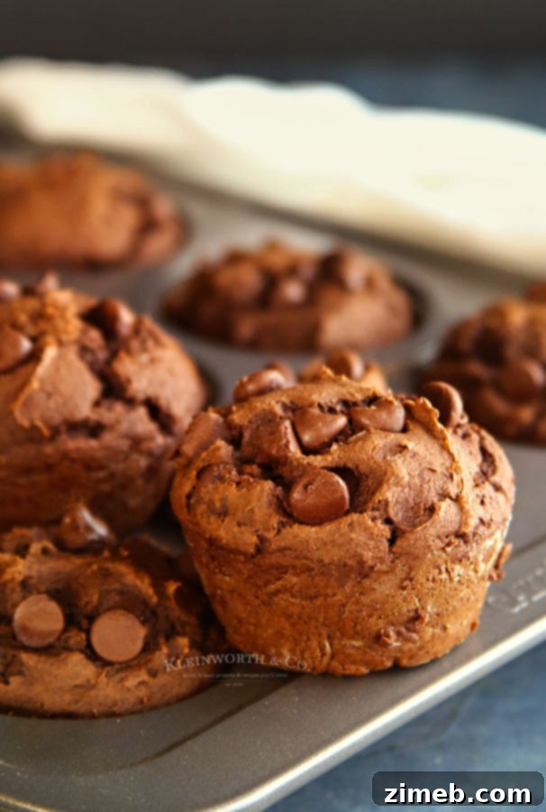 Sweet Pumpkin Mornings: 15 Cozy Breakfast Creations 15 Pumpkin recipe - Peanut Butter Pumpkin Muffins with chocolate