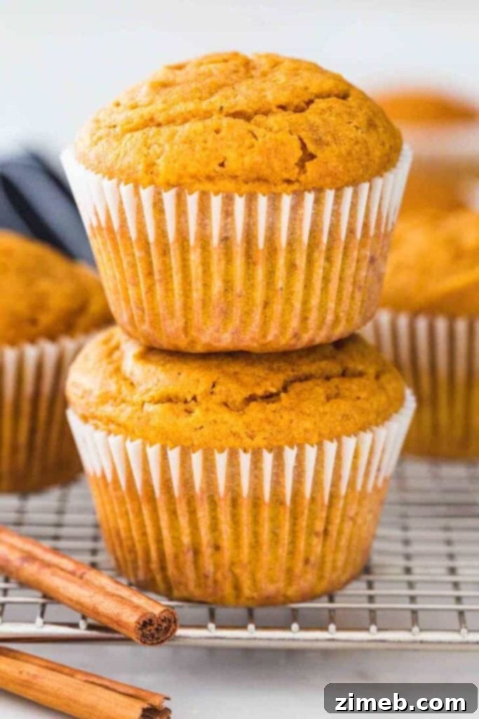 Sweet Pumpkin Mornings: 15 Cozy Breakfast Creations 8 Pumpkin Muffins - Moist, fluffy, perfect for fall breakfasts