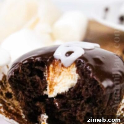 Hostess Chocolate Cupcakes
