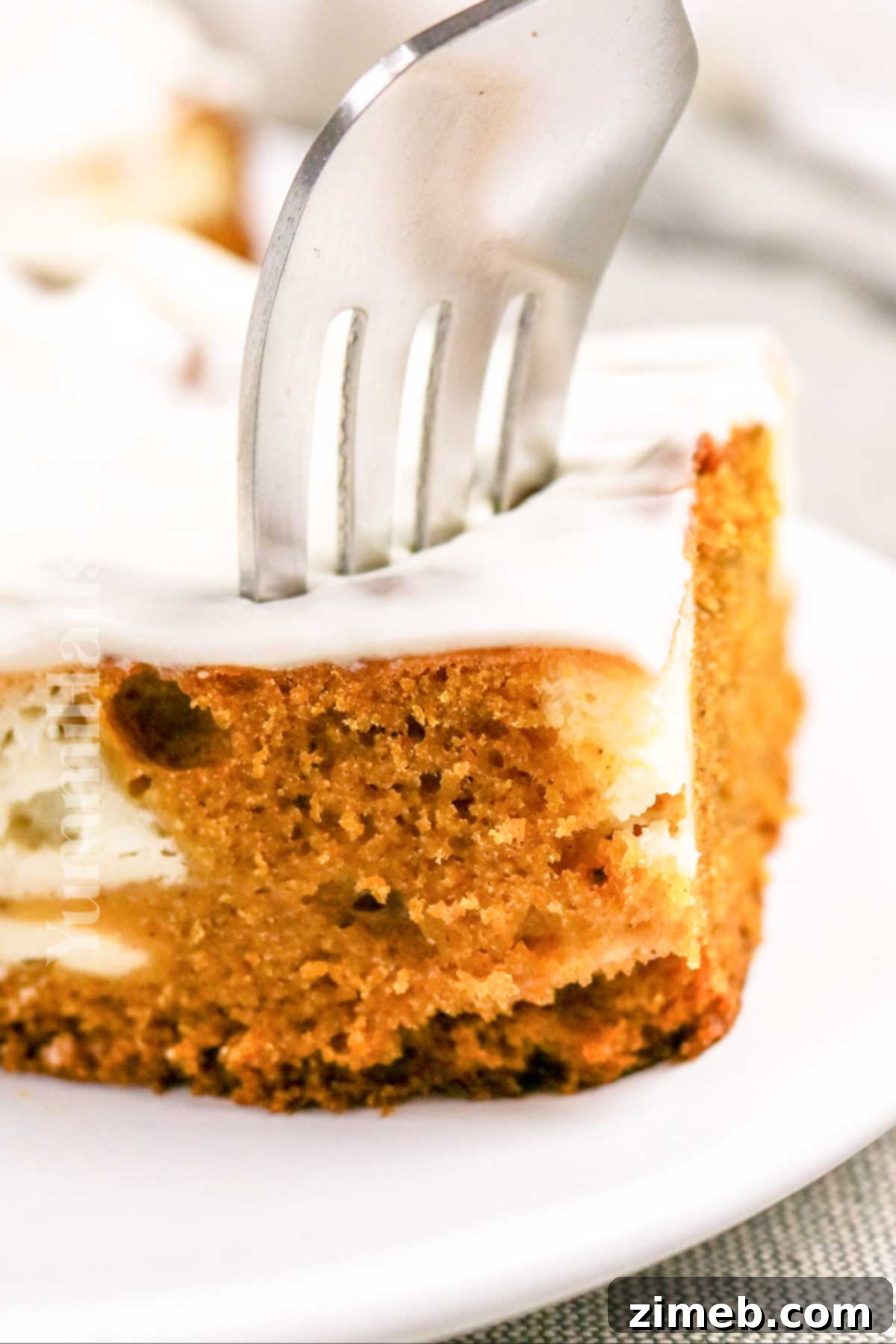 Pumpkin Cake Cheesecake perfect for holiday celebrations