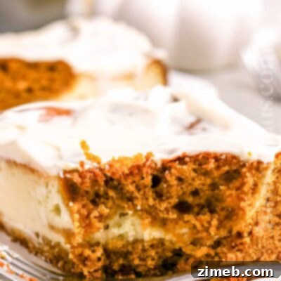 Pumpkin Cake Cheesecake