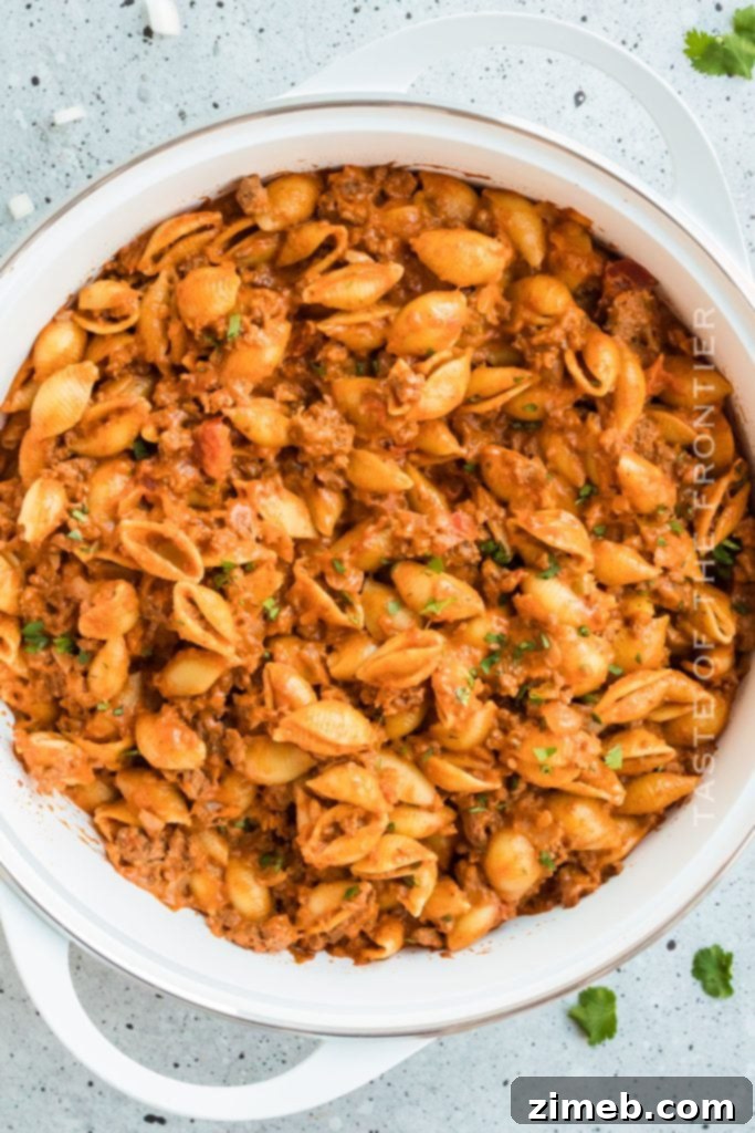25+ Ways to Transform 1 lb Ground Beef 16 recipe for Taco Pasta