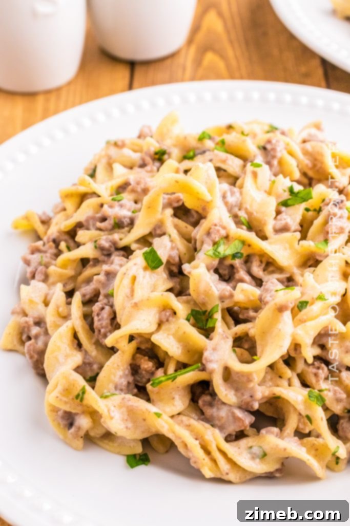 25+ Ways to Transform 1 lb Ground Beef 17 Stroganoff dinner