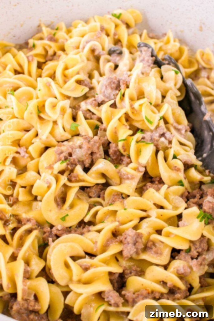 25+ Ways to Transform 1 lb Ground Beef 3 easy noodle dinner