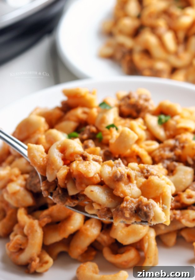 25+ Ways to Transform 1 lb Ground Beef 27 copycat Instant Pot Hamburger Helper