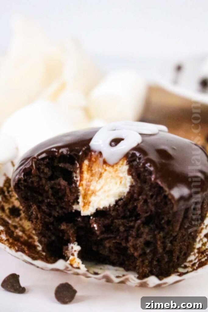 Hostess Chocolate Cupcakes
