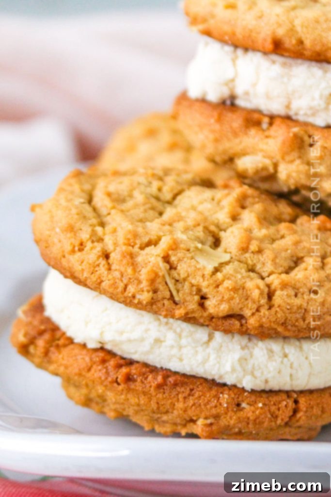 Homemade Do-Si-Dos - Copycat Recipe
