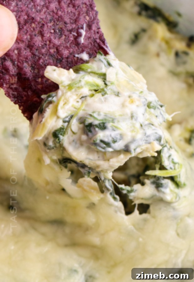 appetizer Artichoke Spinach Dip