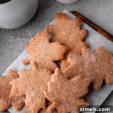 Beautifully rolled fall cookies with cinnamon sugar