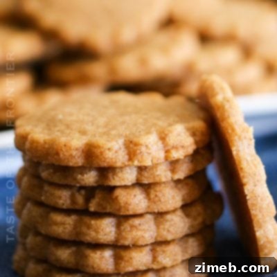Homemade Biscoff Cookies on a white plate