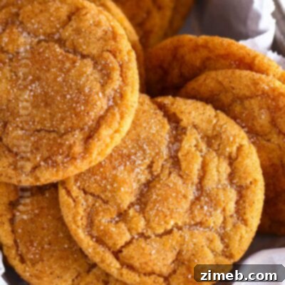 Pumpkin Snickerdoodles