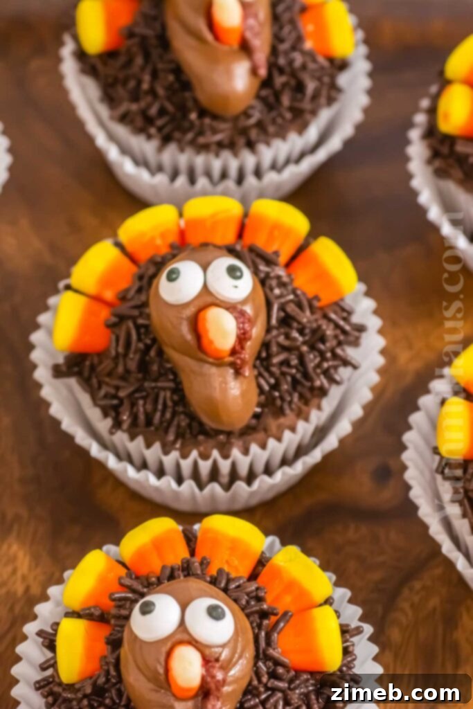 Adorable Turkey Cupcakes decorated with chocolate frosting, candy corn feathers, and chocolate beaks, perfect for Thanksgiving celebrations.