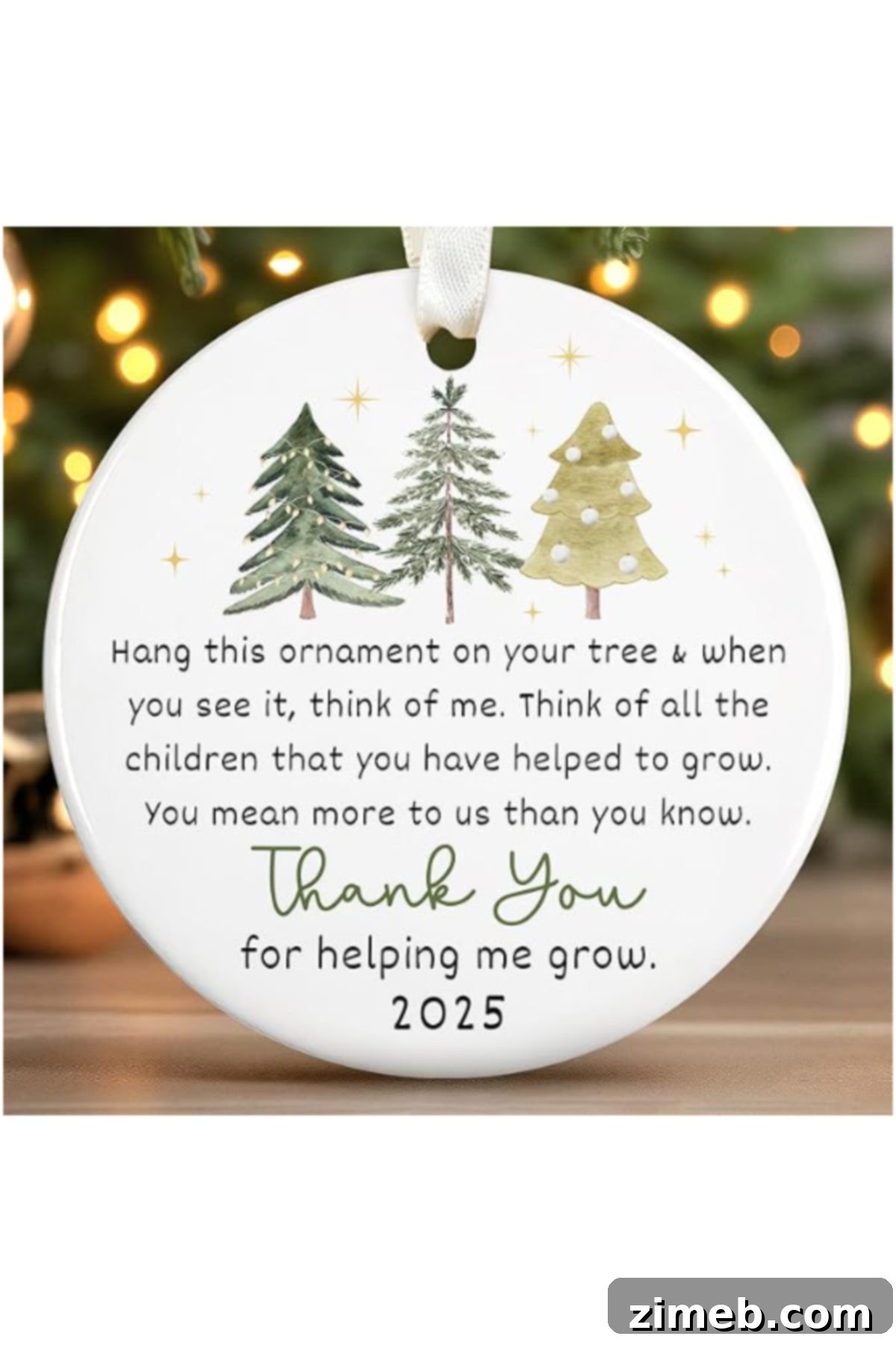 15 Christmas Gift Ideas Teachers Truly Appreciate Beyond Mugs And Candles 14 personalized ornament for teachers