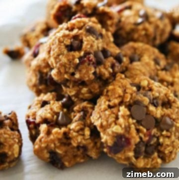 Sweet Glazed Oatmeal Delights 16 Cranberry Oatmeal Chocolate Chip Cookies