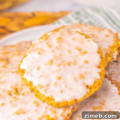 Sweet Glazed Oatmeal Delights 19 Iced Oatmeal Cookie recipe