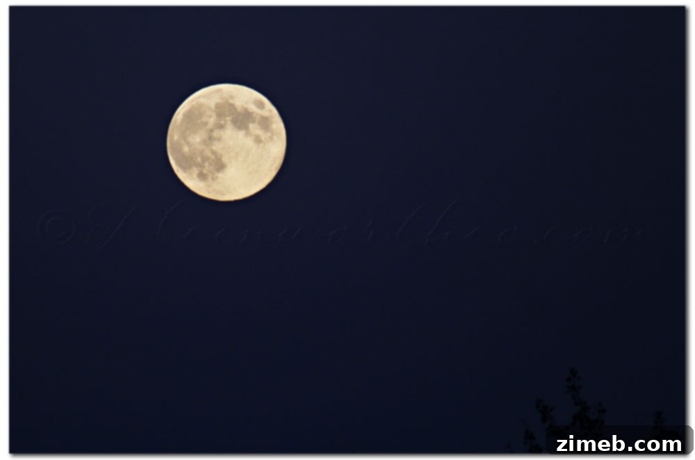 Project 52 Week 34, Blue Moon