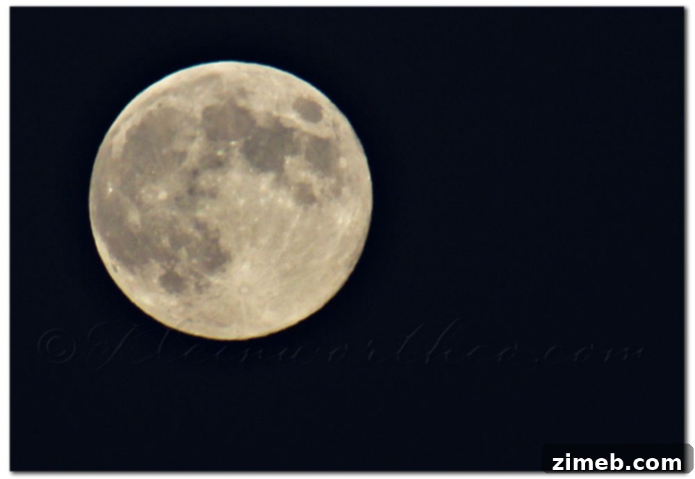 Project 52 Week 34, Blue Moon