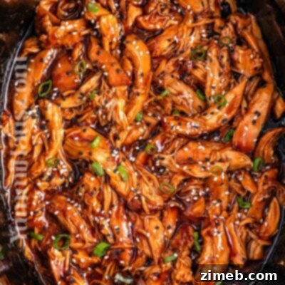 Slow Cooker Teriyaki Chicken