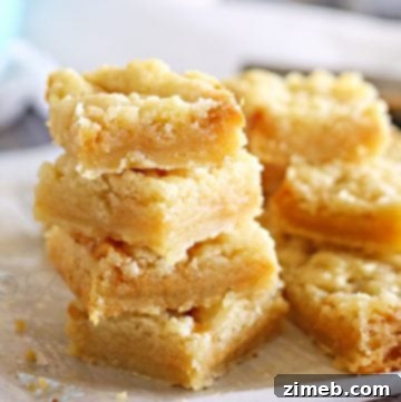 Salted Caramel Butter Bars