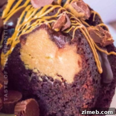 Brownie Chunk FroYo 10 Chocolate Brownie Bundt Cake with peanut butter cheesecake filling and toppings.